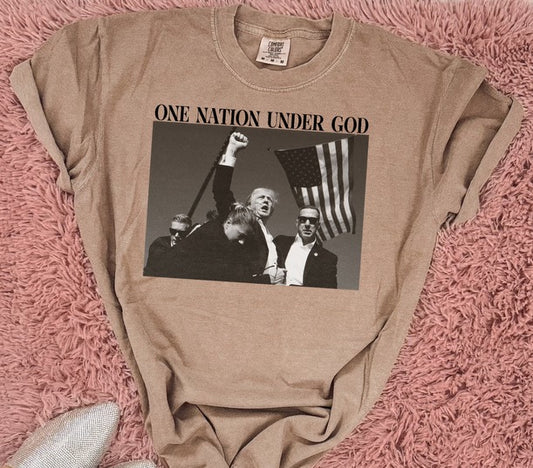 One Nation Comfort Colors Graphic Tee